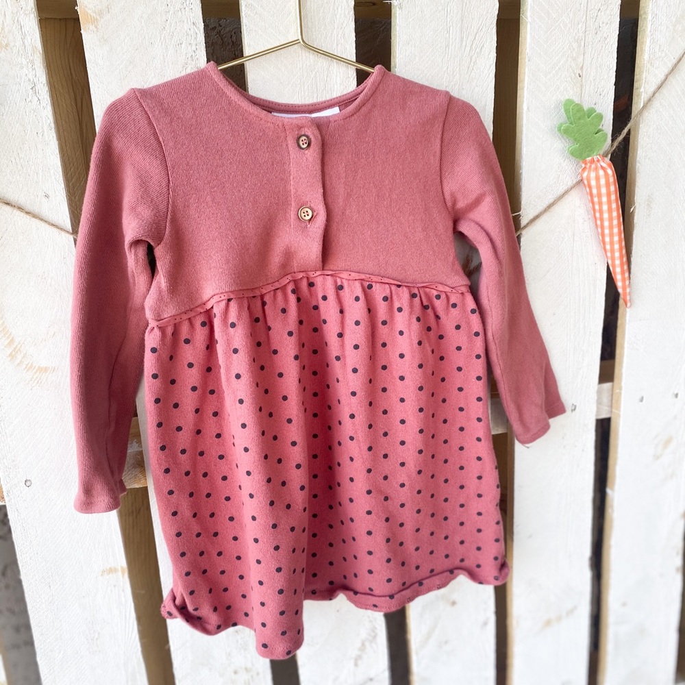 Zara dress